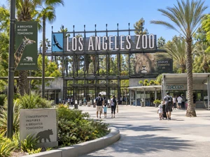 Betty White Left Money For The L.A. Zoo, But The Trust Hit A Legal Roadblock