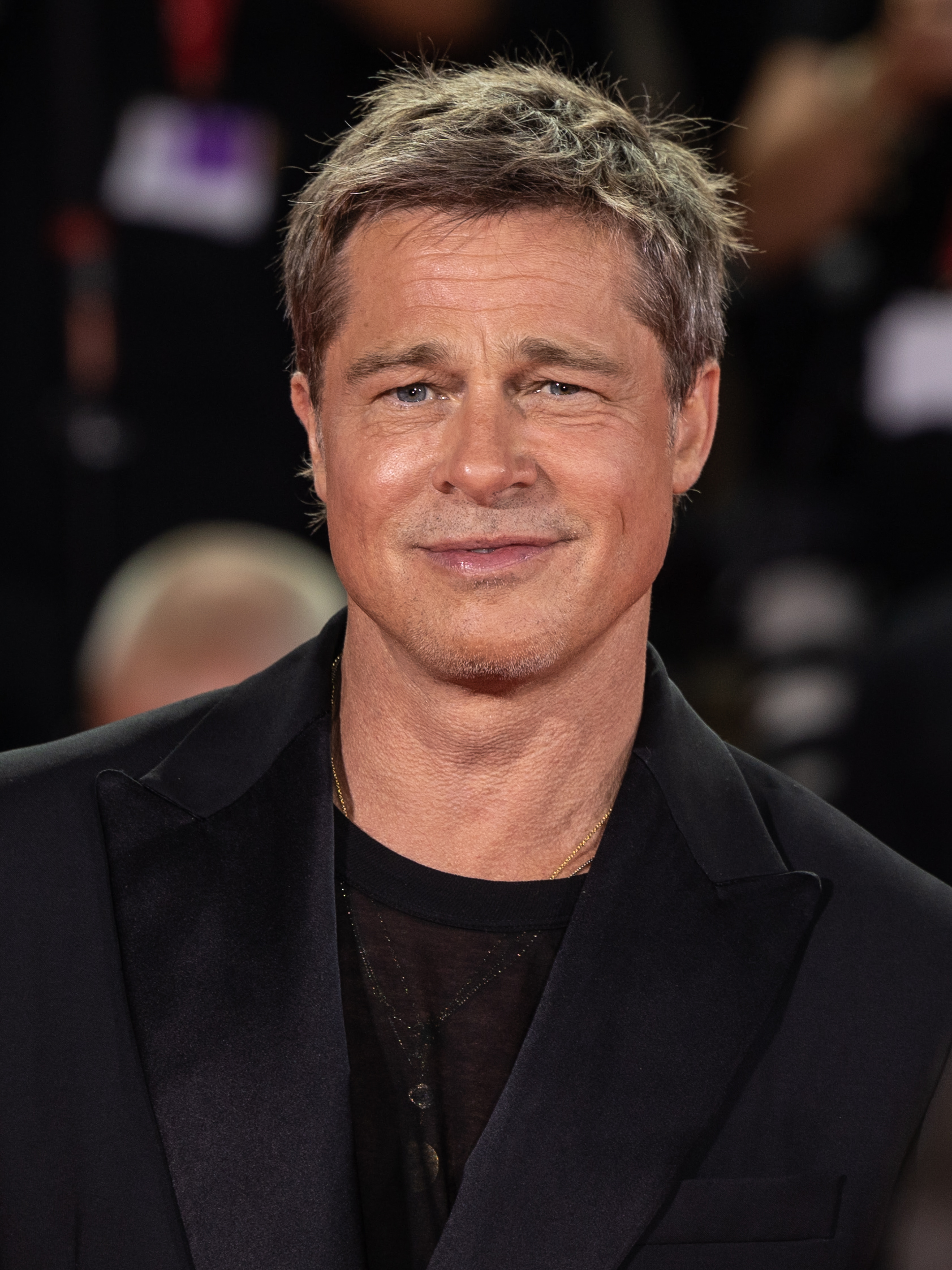 Brad Pitt Scores Another Court Win as Angelina Jolie Winery War Drags On